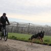 training 18-03 2018-04-02-10h23m59